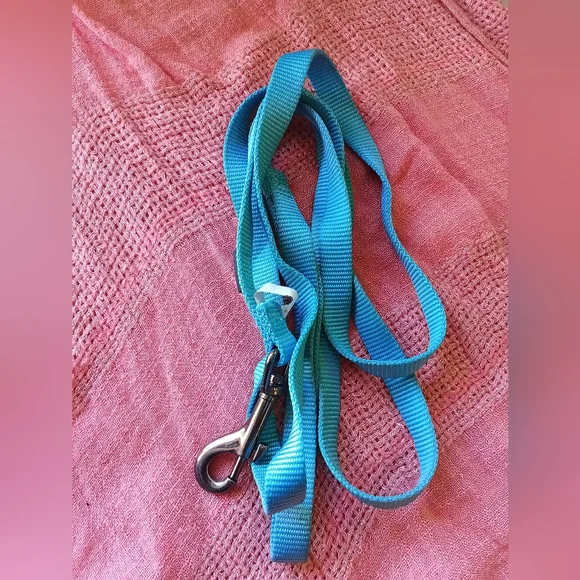 Blue Dog Leash with Metal Clip