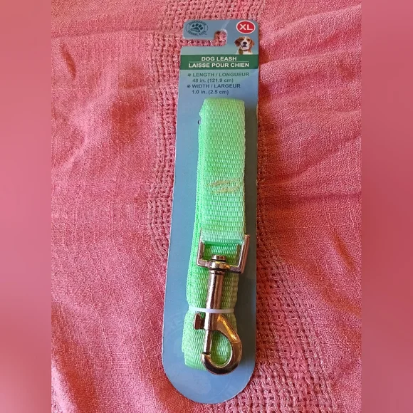 Green Dog Leash with Metal Clip