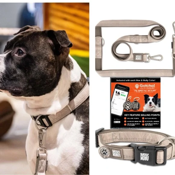 Max & Molly Leash (S) Matrix 2.0 Sand & GOTCHA! Smart ID Collar‎ (XS)