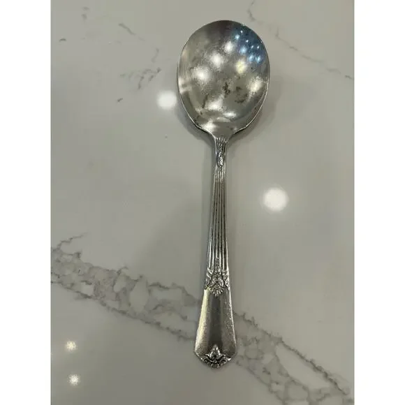 Vtg WM Rogers IS Silver‎ Plate 9” Serving Spoon Intricate Handle Details