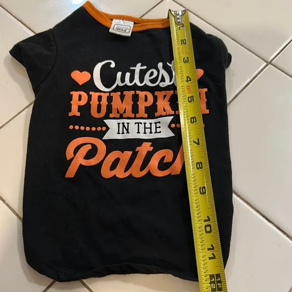 Cutest pumpkin in the patch doggy dress