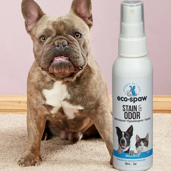 PET STAIN & ODOR SPRAY Safe on fabrics and pets!