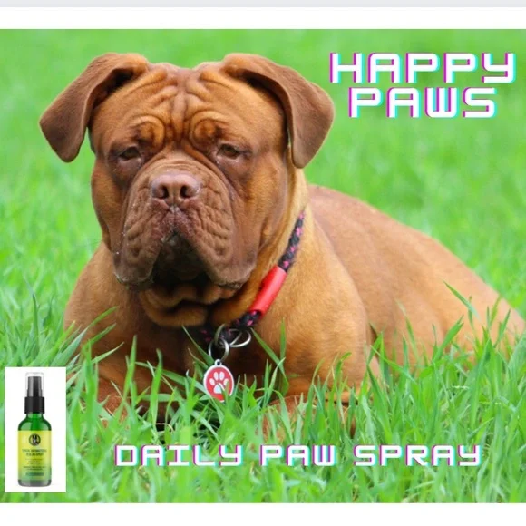 Green Dawg Happy Paws Spray Silver Healing Antibacterial For Dogs and Humans