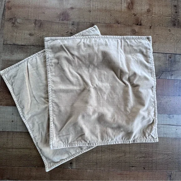 Pottery Barn 20 x 20 Beige Velour Feel Square Pillow Covers Set of 2