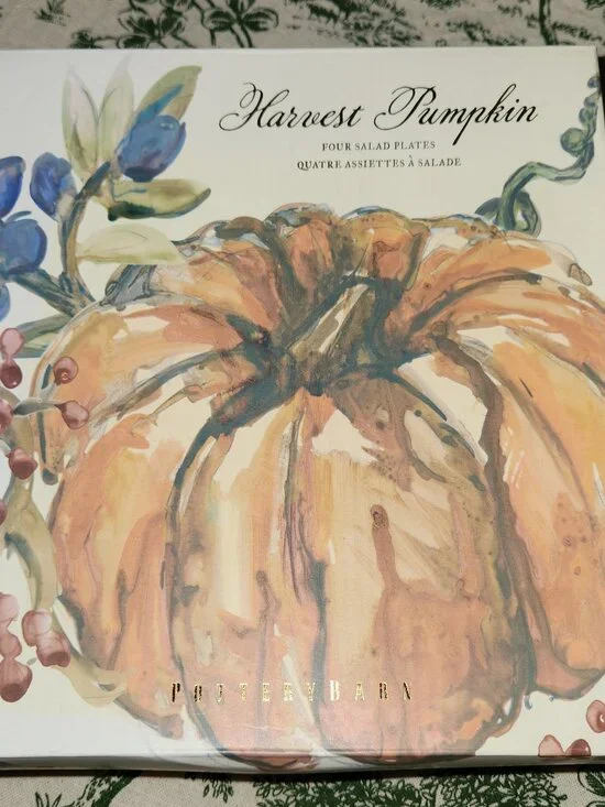Pottery Barn Harvest Watercolor Pumpkin Salad Plates Set of 4