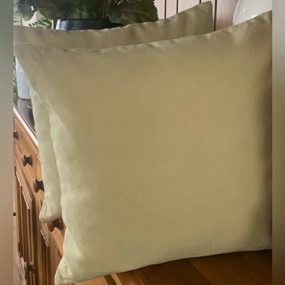 Pottery Barn Light Green Pillow Covers 18” Inserts not included
