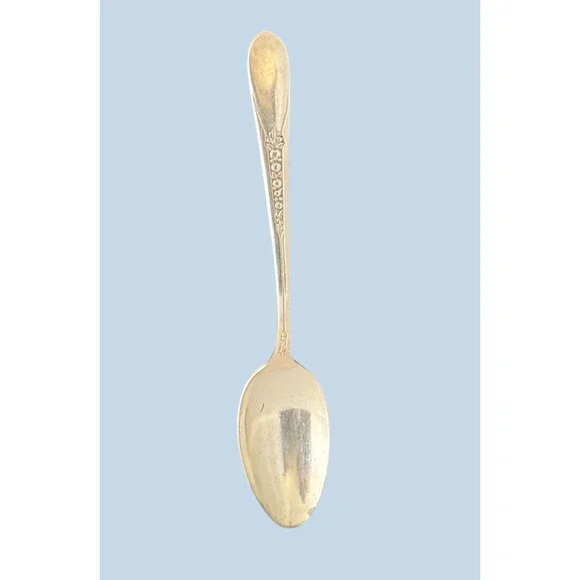 Wm Rogers Mfg Co Original Rogers Serving Spoon Fruit Motif Silverplate VTG 1890s