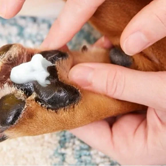 Protect 🐶 & heal your dog’s 🐾 paws Miracle Healing ❤️‍🩹 balm 🛍️ paw 🐾 balm