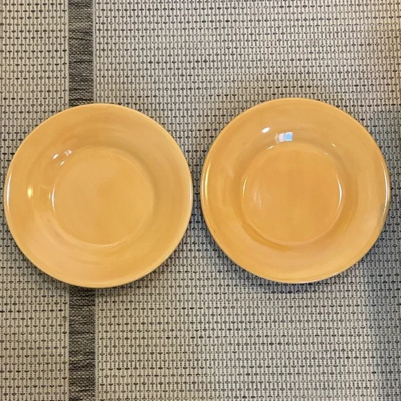Pottery Barn 12” inch Sausalito plates