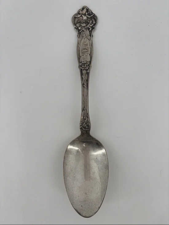 Antique Sterling silver carnation by Wallace serving spoon art Nouveau
