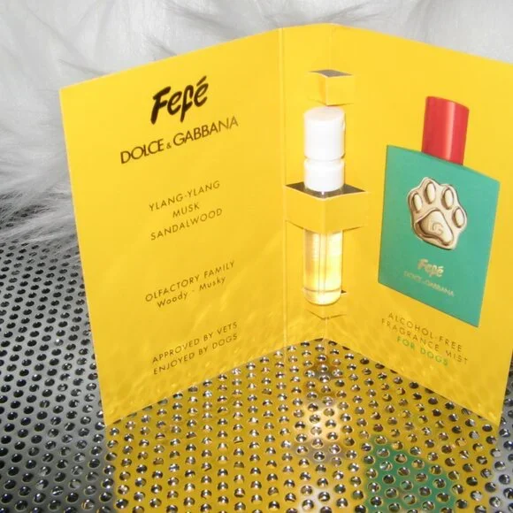 For Doggies Dolce & Gabbana Fefe sample