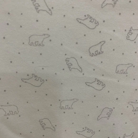 Restoration Hardware Baby and Child blanket