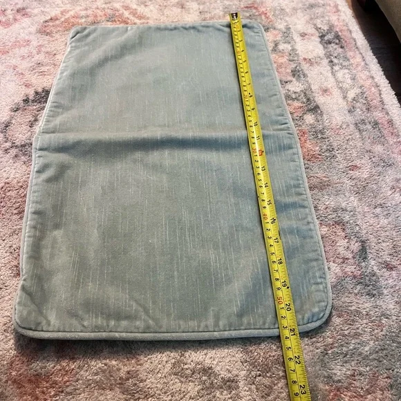 Velvet Cushion Cover-purchased from restoration hardware