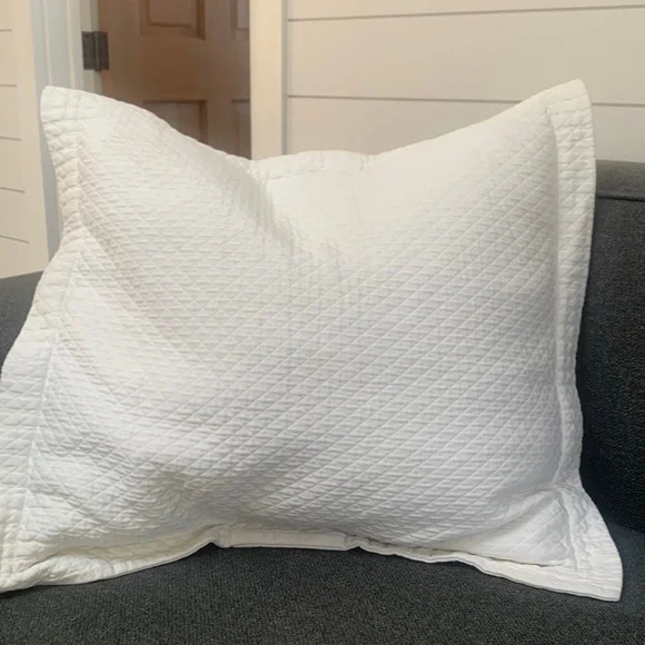 COPY - Restoration hardware euro shams- diamond Matisse