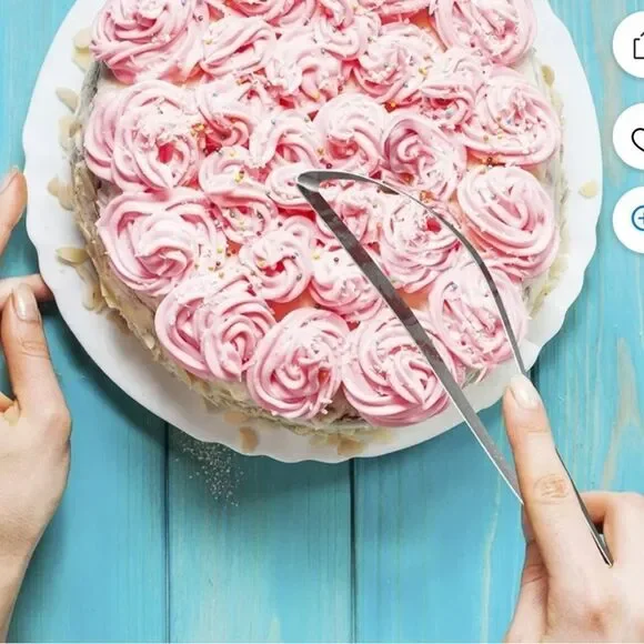 Orblue Professional Cake and Pie Stainless Steel Server!