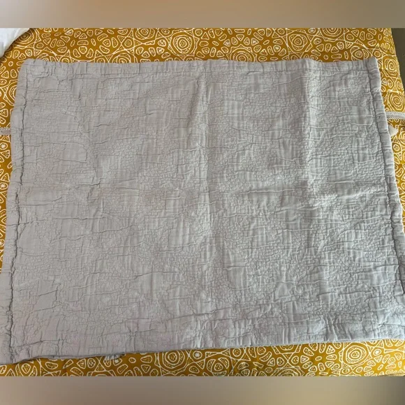 Restoration Hardware Washed Cotton Vintage Standard Pillow Sham