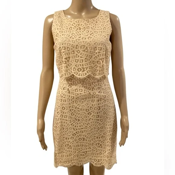 J.Crew Lace dress size 2