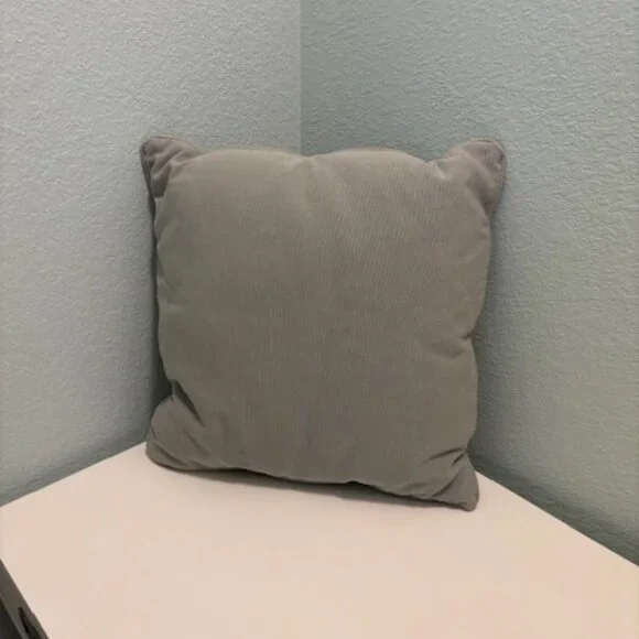 Restoration Hardware linen pillow cover with insert, pale green - SALE!
