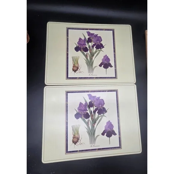 Set of 2 Vintage Pimpernel England Cork Back Placemat Iris Germanica Floral
