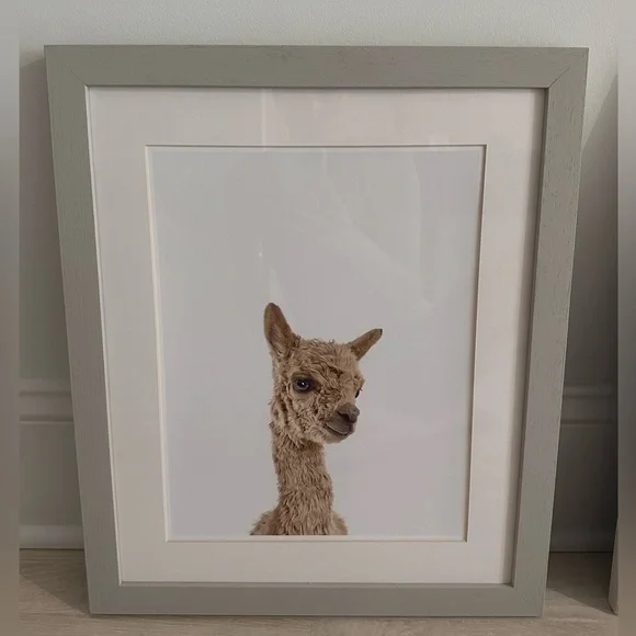 Restoration Hardware Baby Animal Alpaca CloseUp Portrait