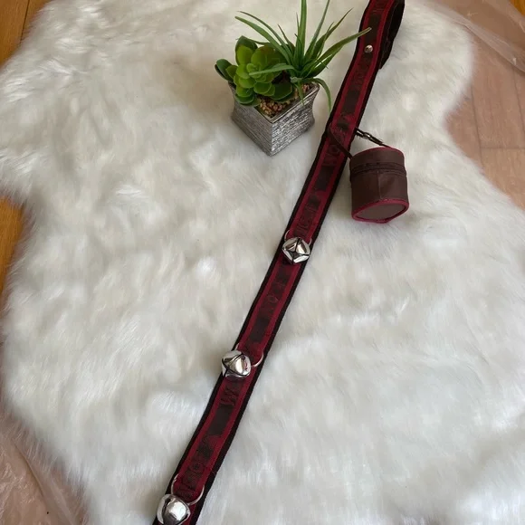 Training belt for potty