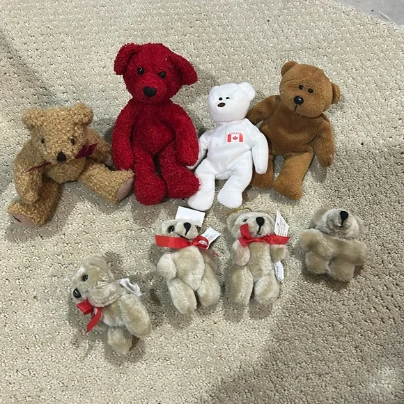 Homecoming Assorted Bears Some (1) is pre used Mum & Garter