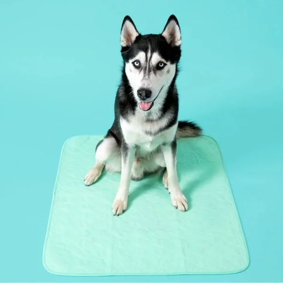 Reusable quick dry dog pad
