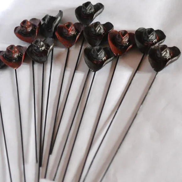 Cowboy Hats Picks