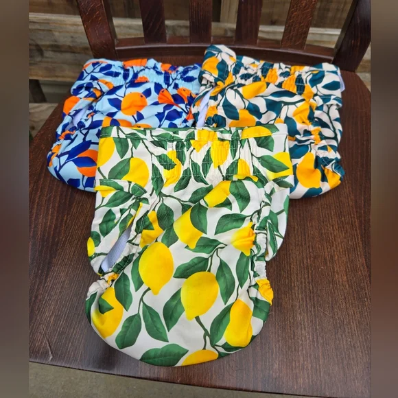 Girly Doggy Diapers