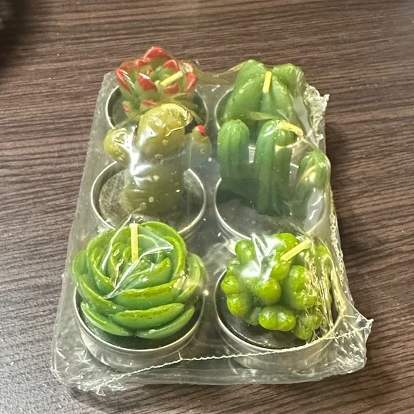 Set of 12 Succulent Shaped Candles
