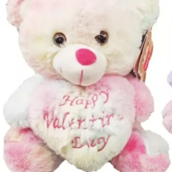 Valentine's Day Teddy Bear Plush. NWT