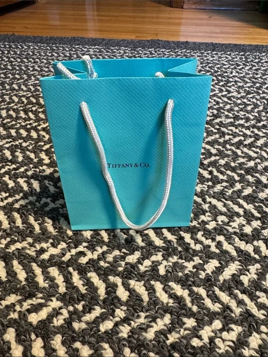 Tiffany & Co. Robin's Egg Blue Gift Bag with White Rope Handles