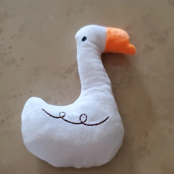 Dog Squeaky Toy