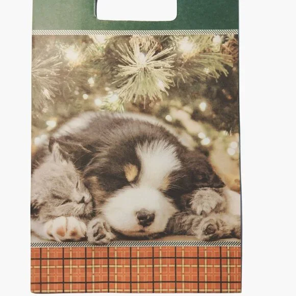 Christmas Gift Bag Puppy Kitten Small 8x5