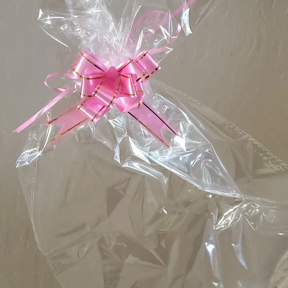 Clear Gift/Storage Bag with pink Ribbon nwot