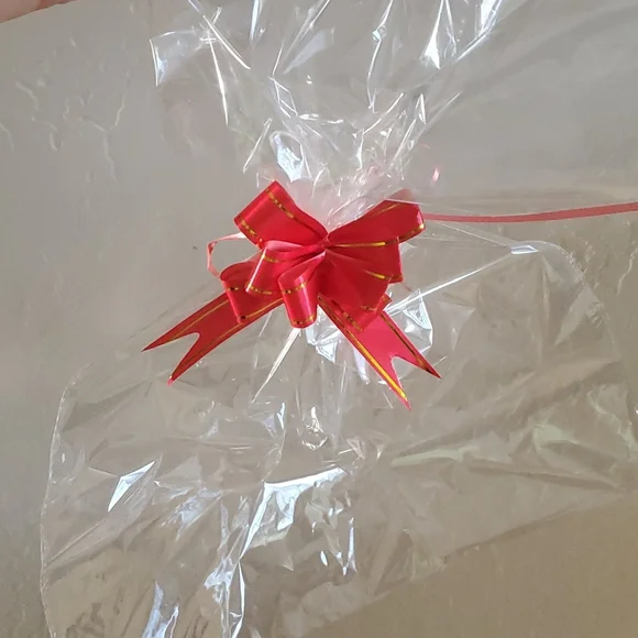 Clear Gift/Storage Bag with Red Ribbon nwot