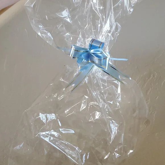 Clear Gift/Storage Bag with Blue Ribbon nwot