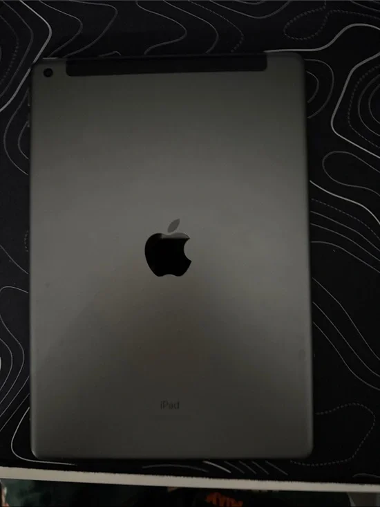 Apple iPad in Space Gray - Classic Aluminum Back