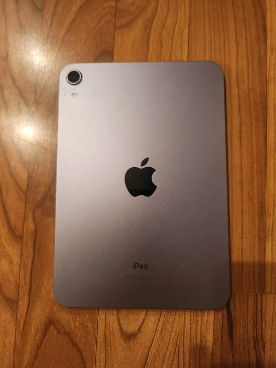 Apple iPad Mini Purple