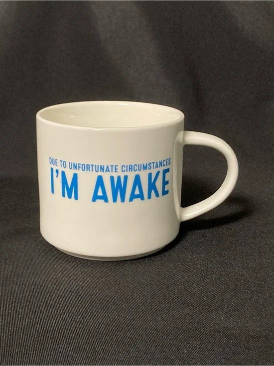 ⭐️ Target Room Essentials Funny Quite White Porcelain 16 oz Mug