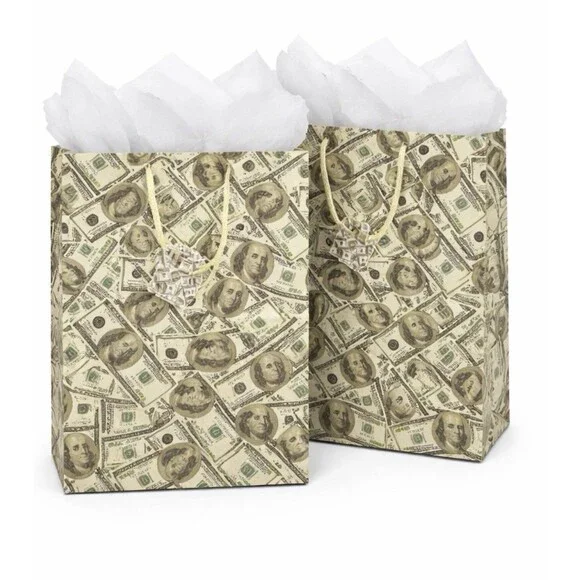 2 Pack Money Gift Bags w/ Tissue Paper 13x10x5 Birthday Graduation Holidays