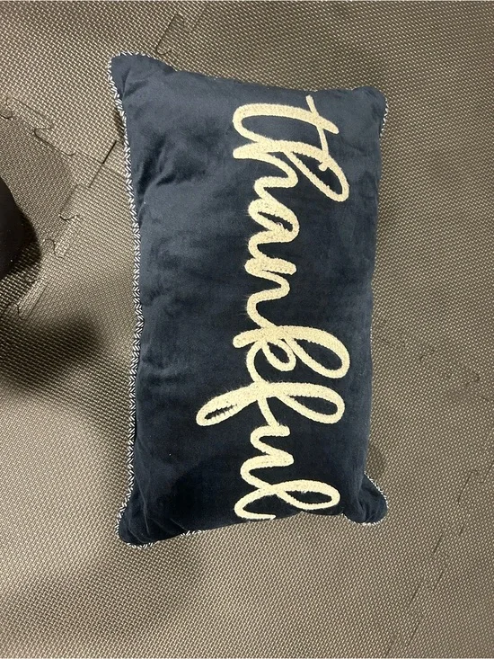 Target Navy Velvet Holiday Pillow with Gold Script
