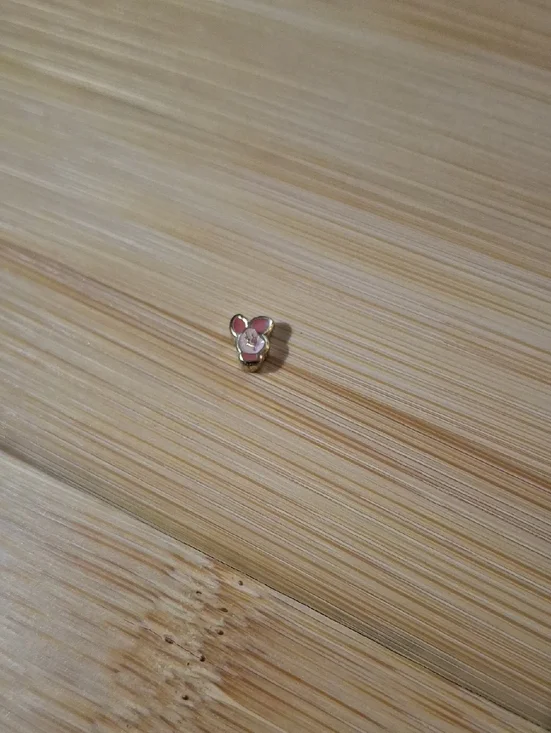 Piglet Charm For Floating Lockets