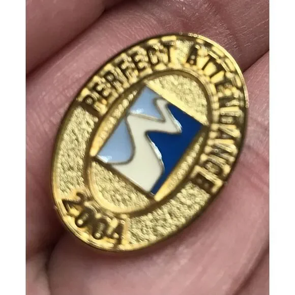 Vintage Perfect Attendance Pins 2004 Award Hat Lapel badge collectable Oval Gold