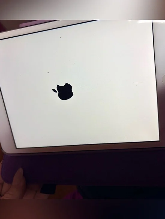 Apple iPad mini Tablet with White Front and Black Logo