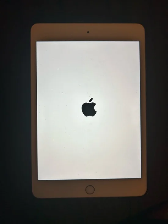 Apple iPad Mini - White Front with Black Logo