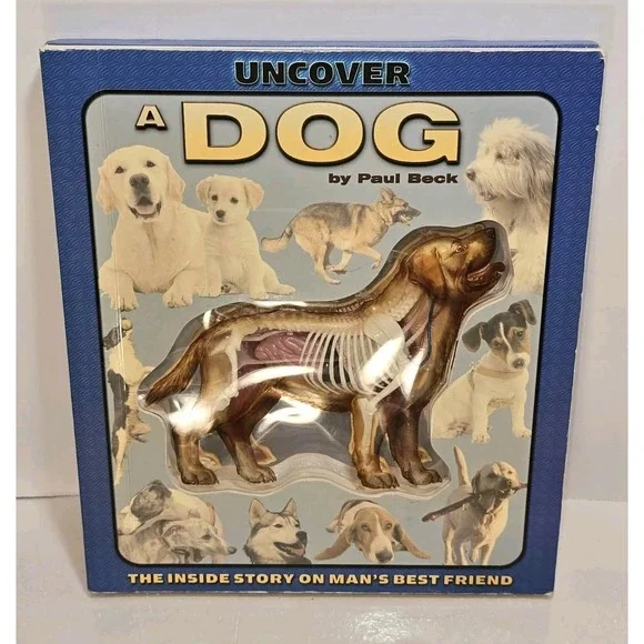 Uncover a Dog‎ 3D Anatomy Book by Paul Beck EUC Educational 🐶📘