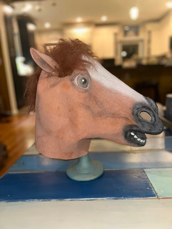 Novelty Horse Mask/Costume