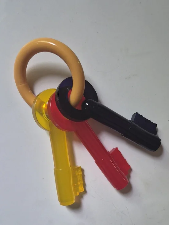 Dog Nyla Bone Key Set And Squeaky Dianasour Toys-OS