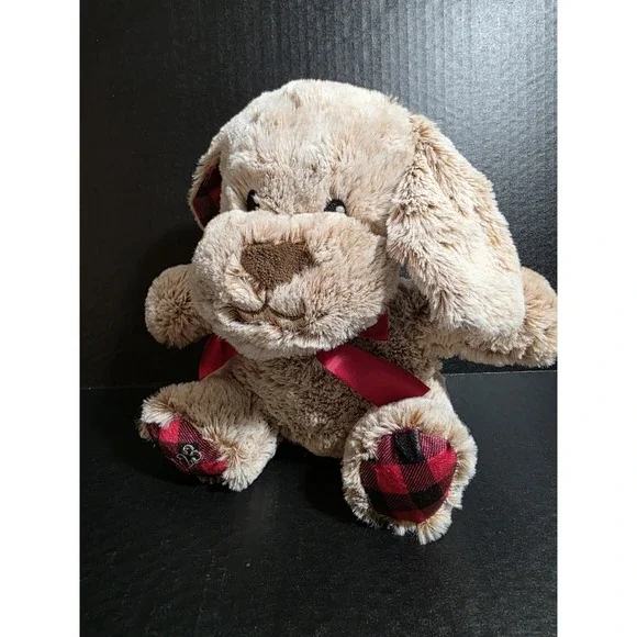 Petsmart Dog Chance 11